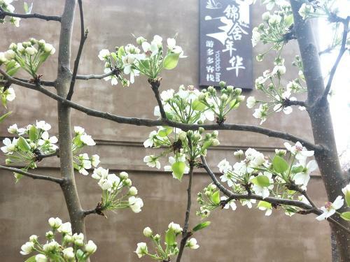 Posada Dunhuang Jinshe Times Yododo Inn