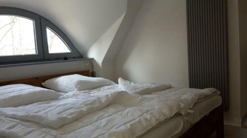 Ferienhaus Wustrow Am Ostseestrand