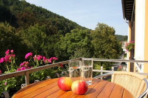 Hotel Lindenhof Bad Schandau