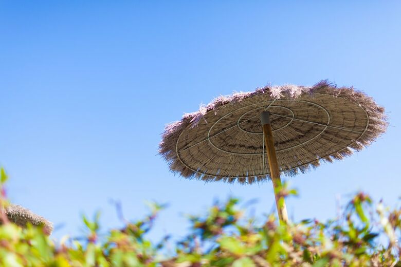 Apartamentos Camelina Suites