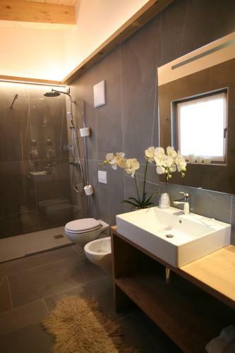 Alpen Hotel Vidi