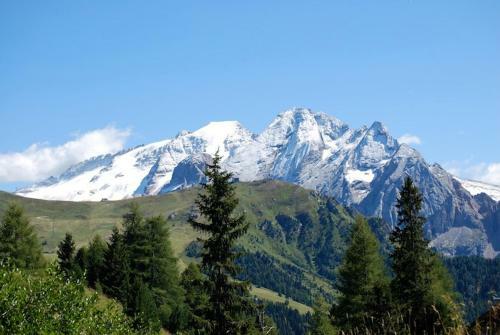 Apartamento Chalet Orchidea
