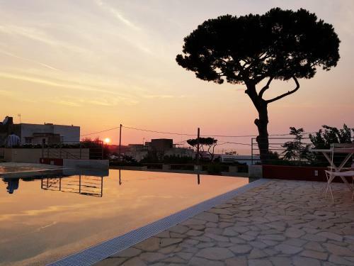 Hotel Albergo 'la Vigna'