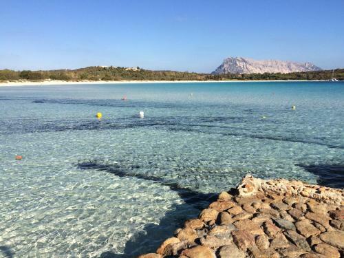 Apartamento Villa Mariposa Appartamenti
