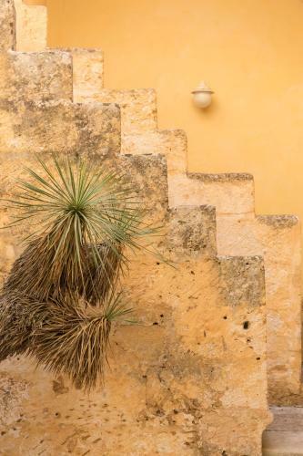 Bed & Breakfast Palazzo Morisco