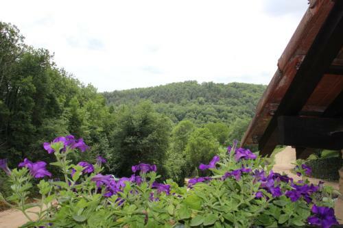 Le Coustal