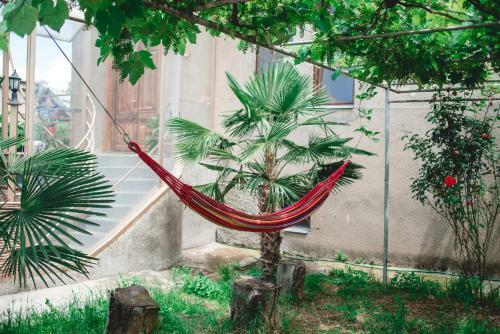 Hostal Qilimcha's Guest House