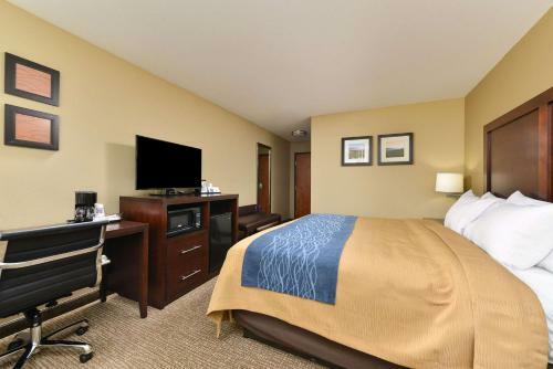 Hotel Comfort Inn And Suites Manheim