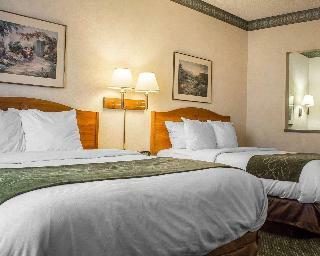 Hotel Comfort Suites At Metro Center