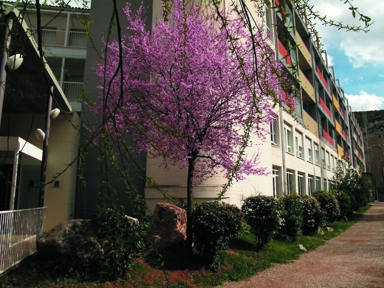 Hotel Balneario Sicilia