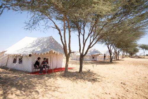 Rao Bika Ji Camel Safari