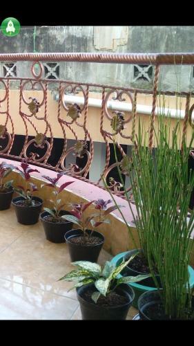 Grapyak Homestay Syariah