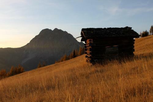 Apartamento Bauernhof Im Wiesengrund