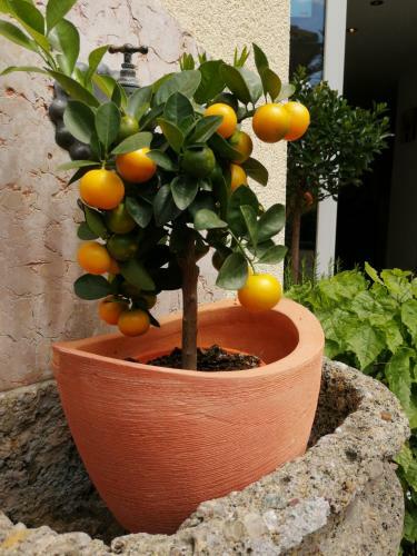 Hostal Pension Katrin