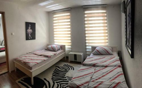 Apartment Centar