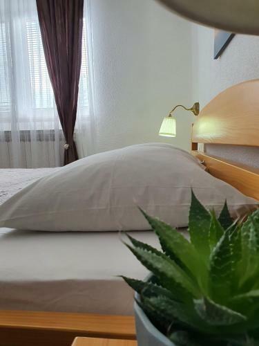 Hostal Guesthouse Kova?evi?