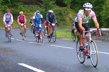 Hotel H�tel De L'ours