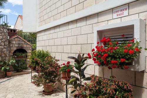 Apartamentos Guest House Ragu?