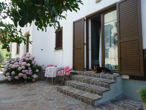 Apartments Mirela