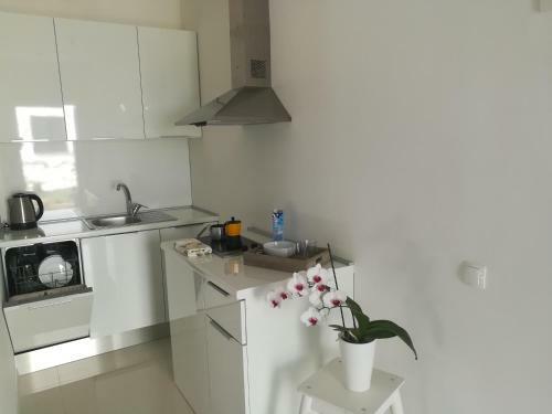 Apartments Mirela