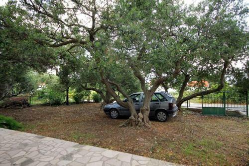 Apartment Zavala 593a