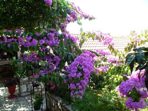 Hostal Guesthouse Ivona