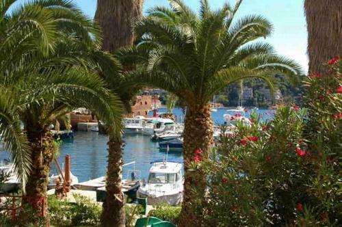 Hostal Villa Pincevic