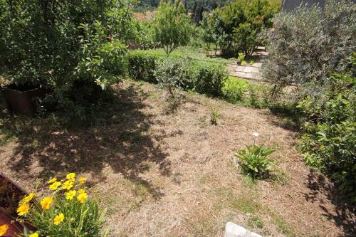 Apartamentos Studio Srebreno 8959a
