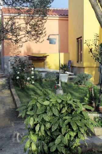 Apartamentos Studio Zadar - Diklo 5924a
