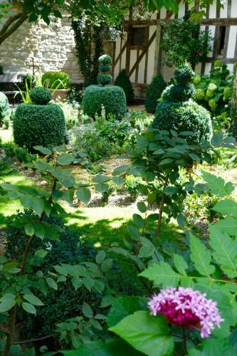 Bed & Breakfast Le Jardin de La Cath�drale