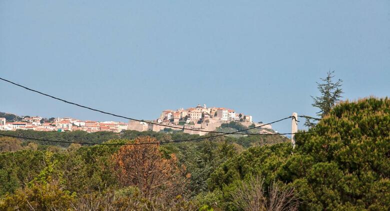 Stayincalvi