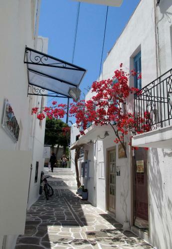 Hotel Parko
