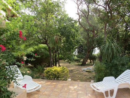 Aparthotel Apartments & Villas Olmuccio