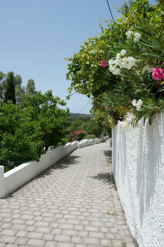 Apartamento Skiathos Holidays