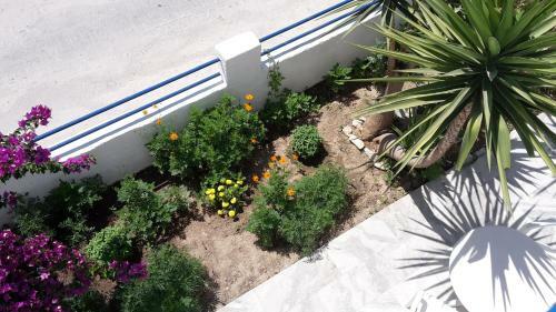 Hostal Pension Piertzovani