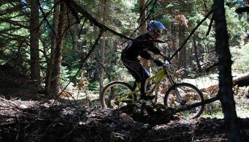 Apartamento Alpine Aria