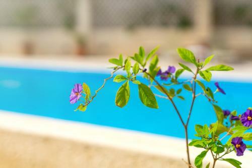 Hiona Holiday Hotel