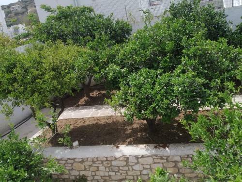 Hostal Aegeon Pension