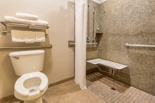 Holiday Inn Express Hotel & Suites Manteca