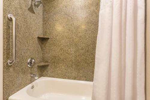 Holiday Inn Express Hotel & Suites Manteca