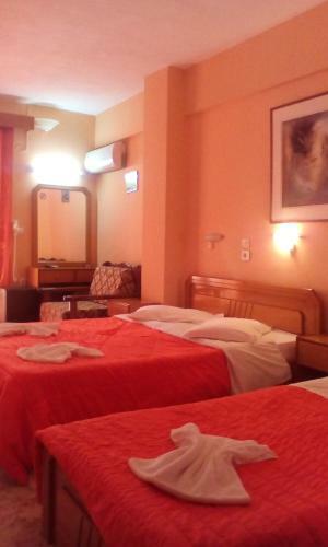 Aiolos Hotel Delphi