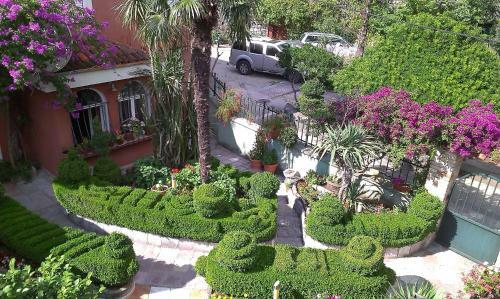Apartment City Garden