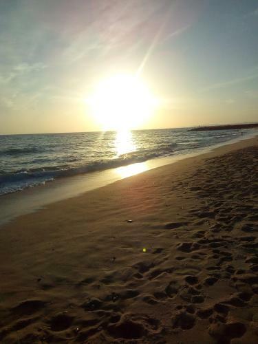 Cartaia Apartamento Leste