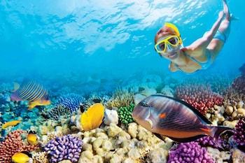 Hotel Oasis Canc�n Lite