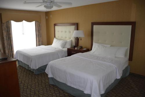 Hotel Homewood Suites By Hilton Brighton