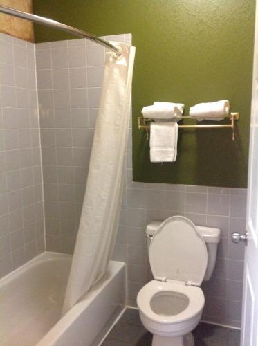 Hotel Regency Suites Bush Airport / Greenspoint
