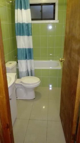 Lodge Caba�aas Y Hostal Conaripe Sur de Chile