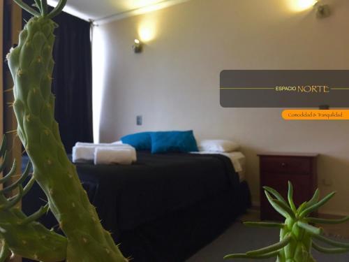 Apartamento Espacio Norte - Iquique Cavancha
