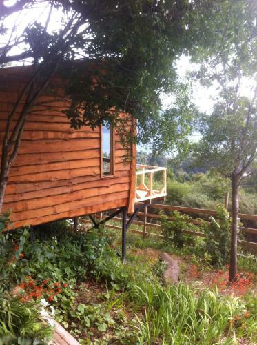 Lodge Caba�as Alto Bellavista Niebla