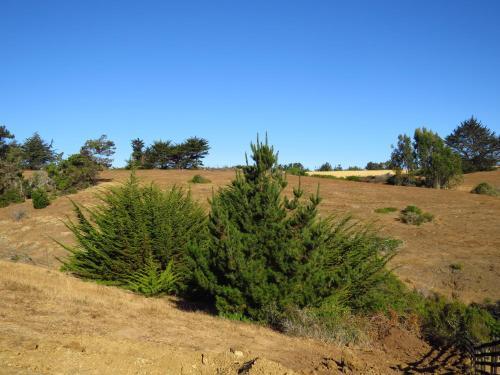 Apartamento Punta Sal Pichilemu